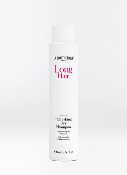 Long Hair Refreshing Dry Shampoo